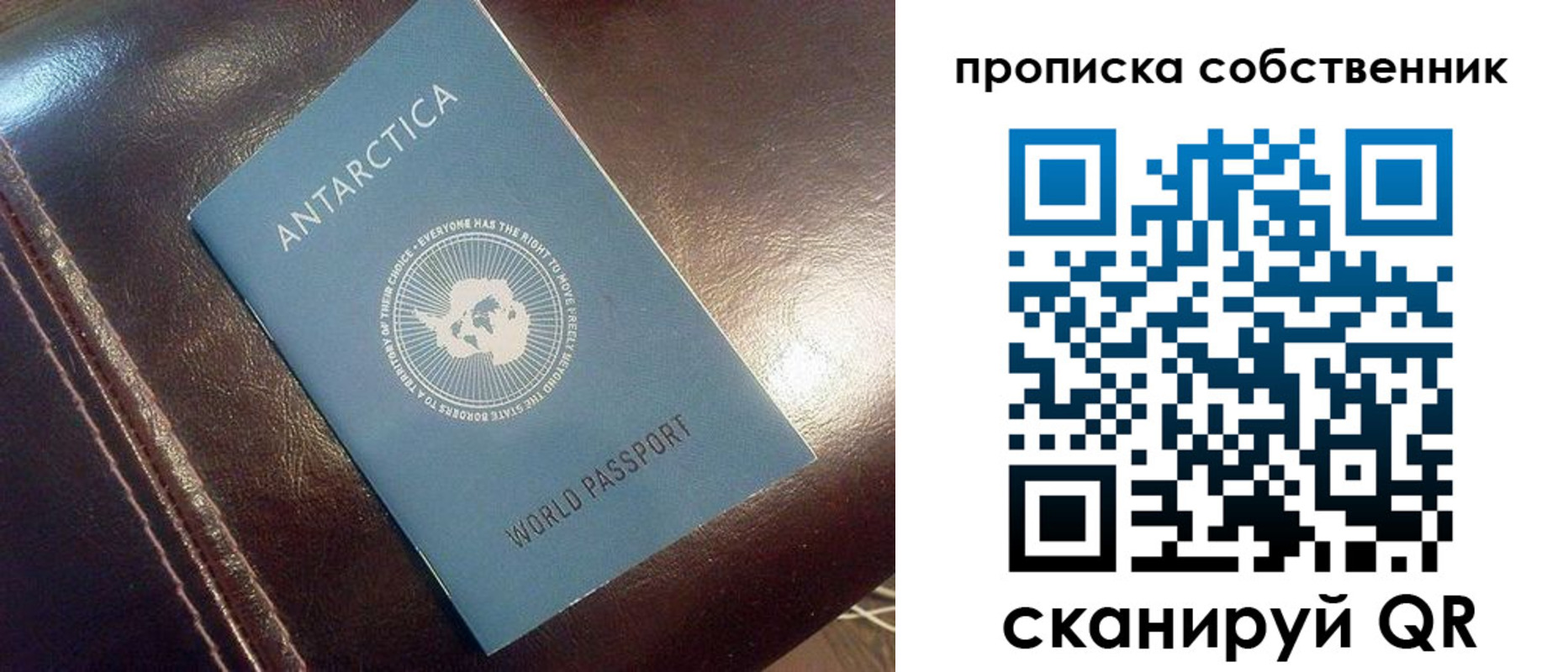 прописка поиск в Новокуйбышевске